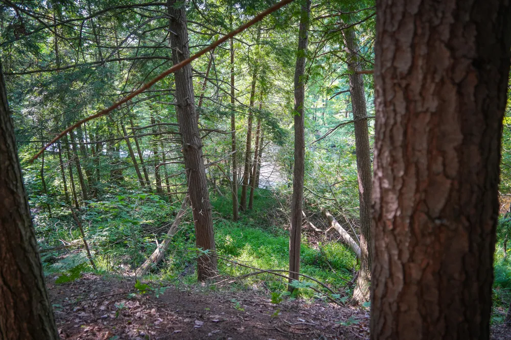 Apple Drive #Lot 38/2.36 A m/l White Cloud, MI 49349
