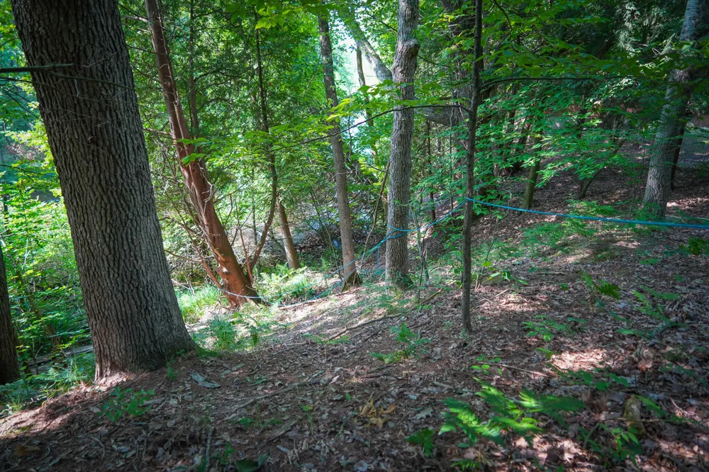 Apple Drive #Lot 38/2.36 A m/l White Cloud, MI 49349
