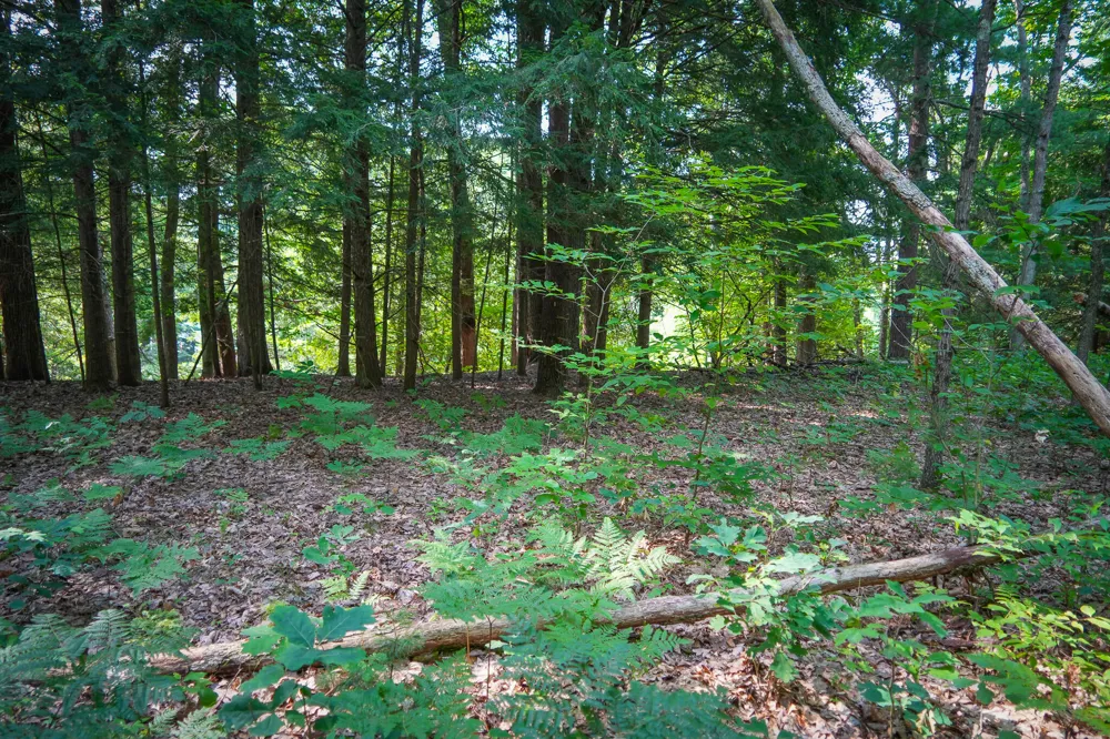 Apple Drive #Lot 38/2.36 A m/l White Cloud, MI 49349