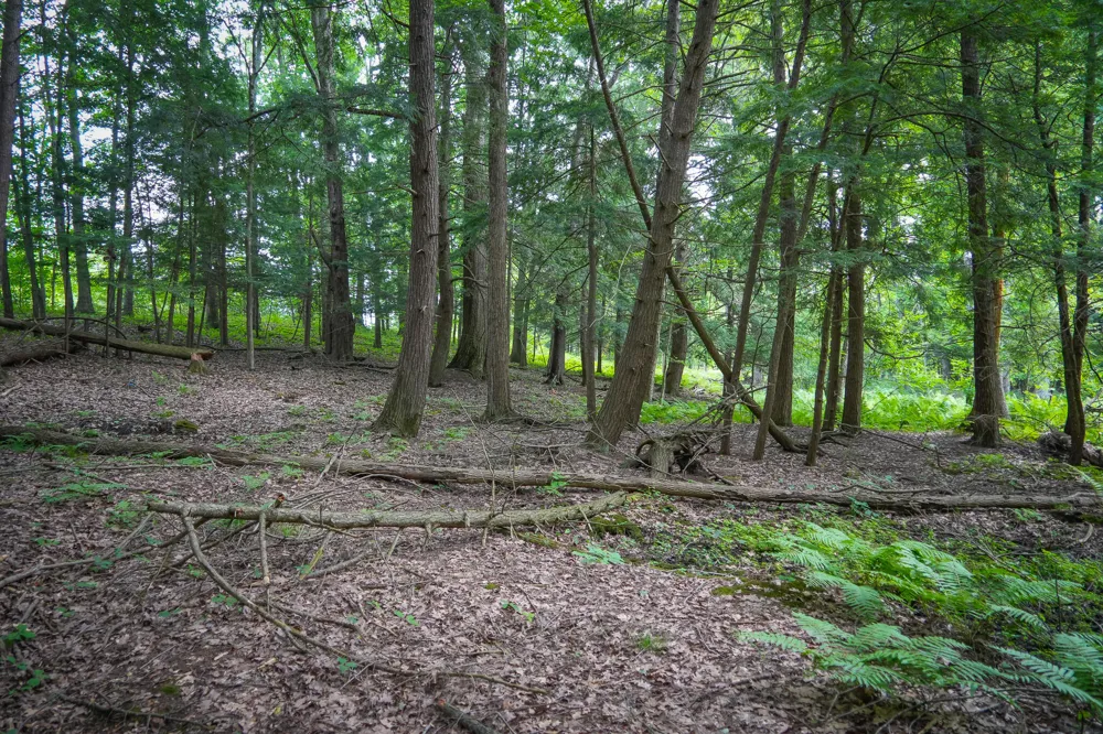 Apple Drive #Lot 38/2.36 A m/l White Cloud, MI 49349