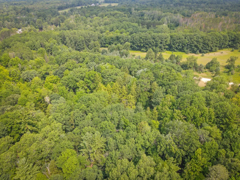 Apple Drive #Lot 38/2.36 A m/l White Cloud, MI 49349