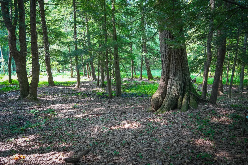 Apple Drive #Lot 38/2.36 A m/l White Cloud, MI 49349