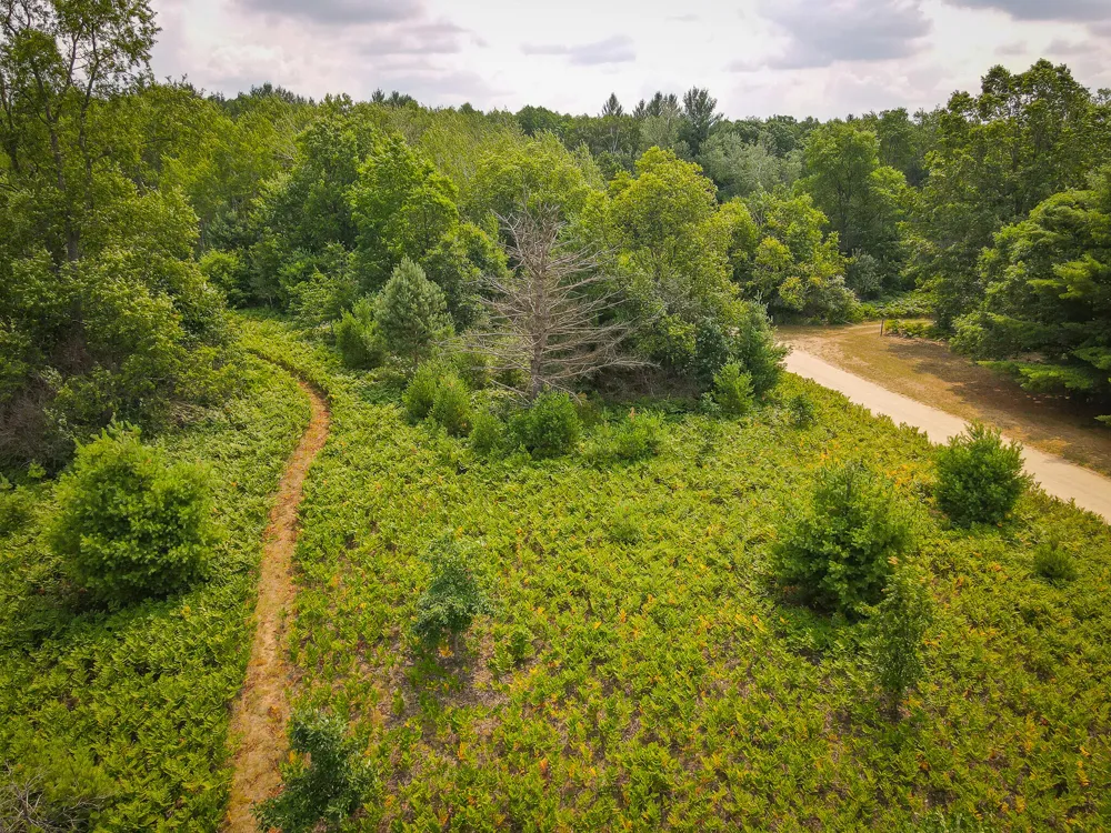 Apple Drive #Lot 62/1.88 A m/l White Cloud, MI 49349