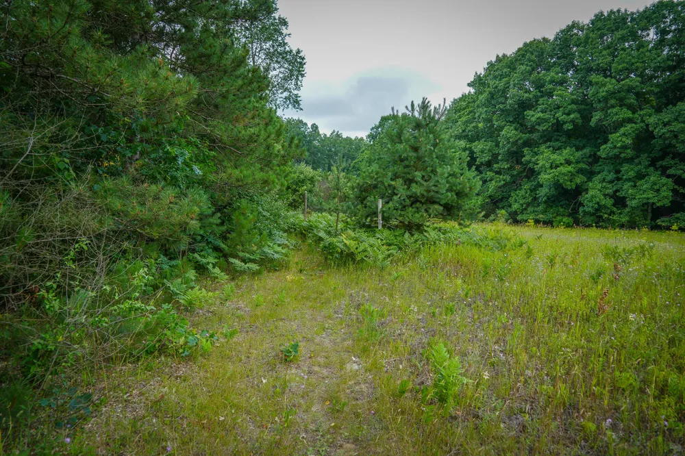 Apple Drive #Lot 62/1.88 A m/l White Cloud, MI 49349
