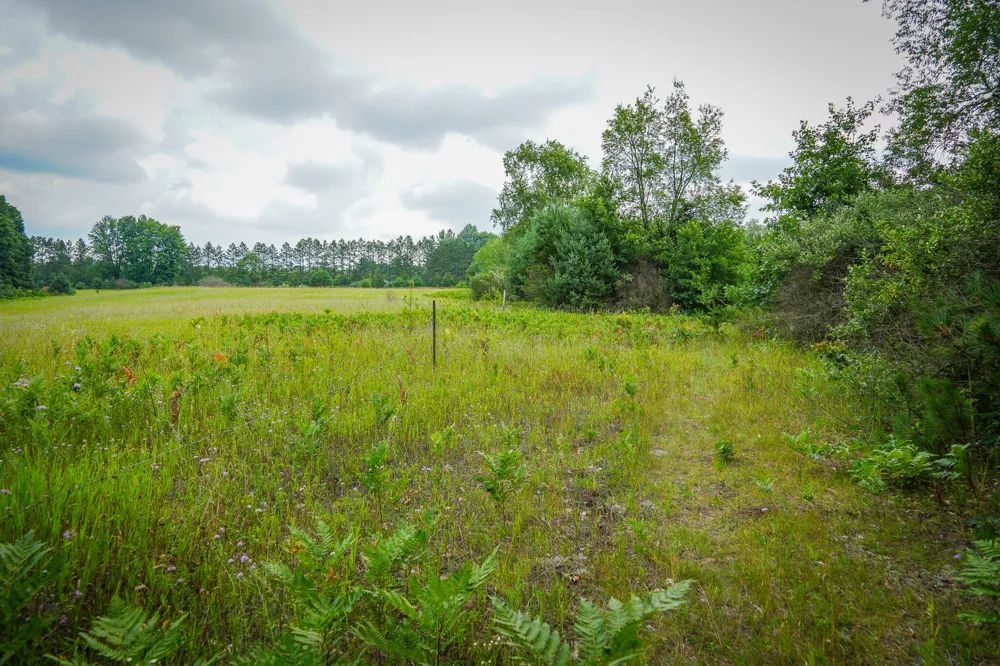 Apple Drive #Lot 62/1.88 A m/l White Cloud, MI 49349