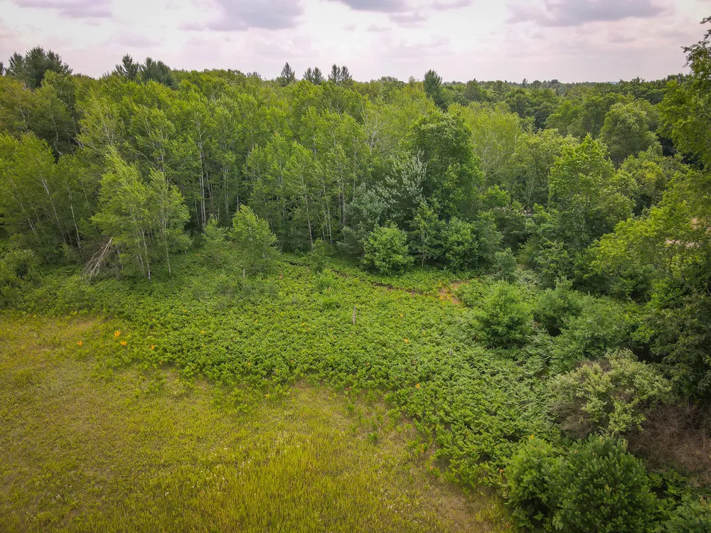 Apple Drive #Lot 62/1.88 A m/l White Cloud, MI 49349