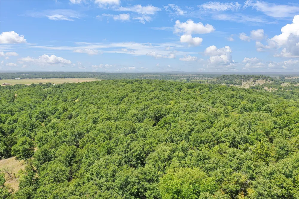6551 Crooked Creek Road Jacksboro, TX 76458