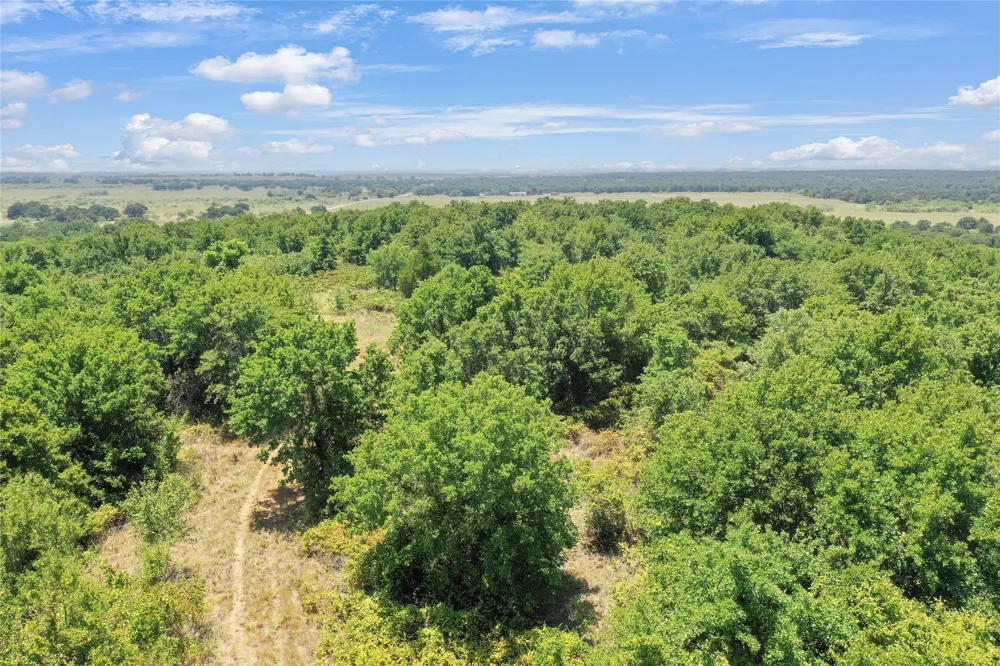 6551 Crooked Creek Road Jacksboro, TX 76458