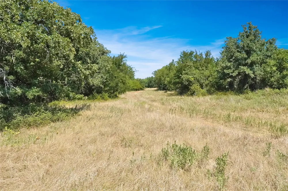 6551 Crooked Creek Road Jacksboro, TX 76458