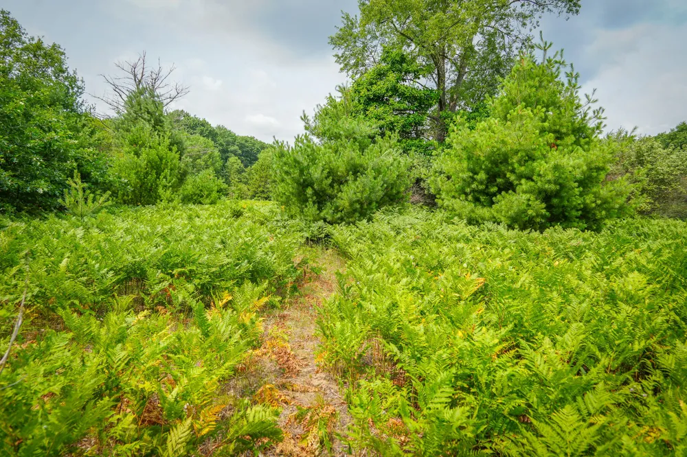 Apple Drive #Lot 63/0.95 A m/l White Cloud, MI 49349