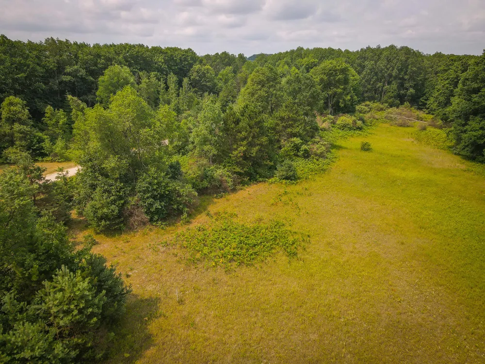 Apple Drive #Lot 63/0.95 A m/l White Cloud, MI 49349