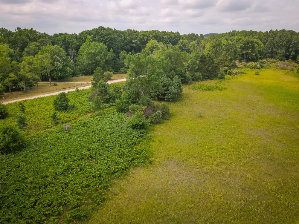 Apple Drive #Lot 63/0.95 A m/l White Cloud, MI 49349