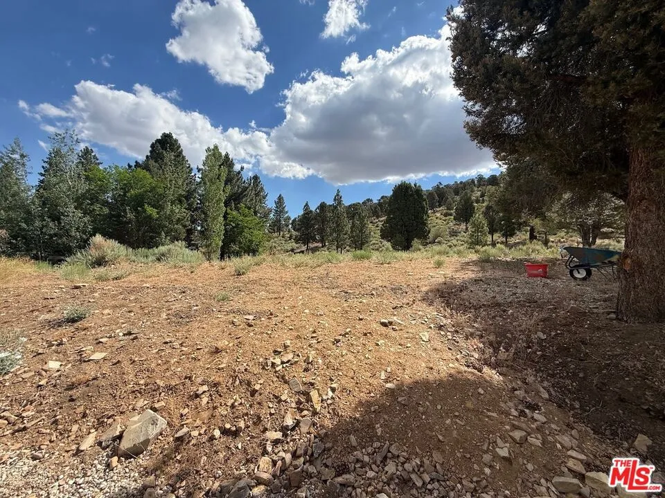 1196 Willow Lane Big Bear City, CA 92314