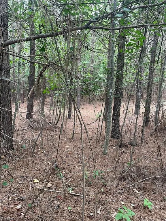0 S Stokes School Road Walnut Cove, NC 27052