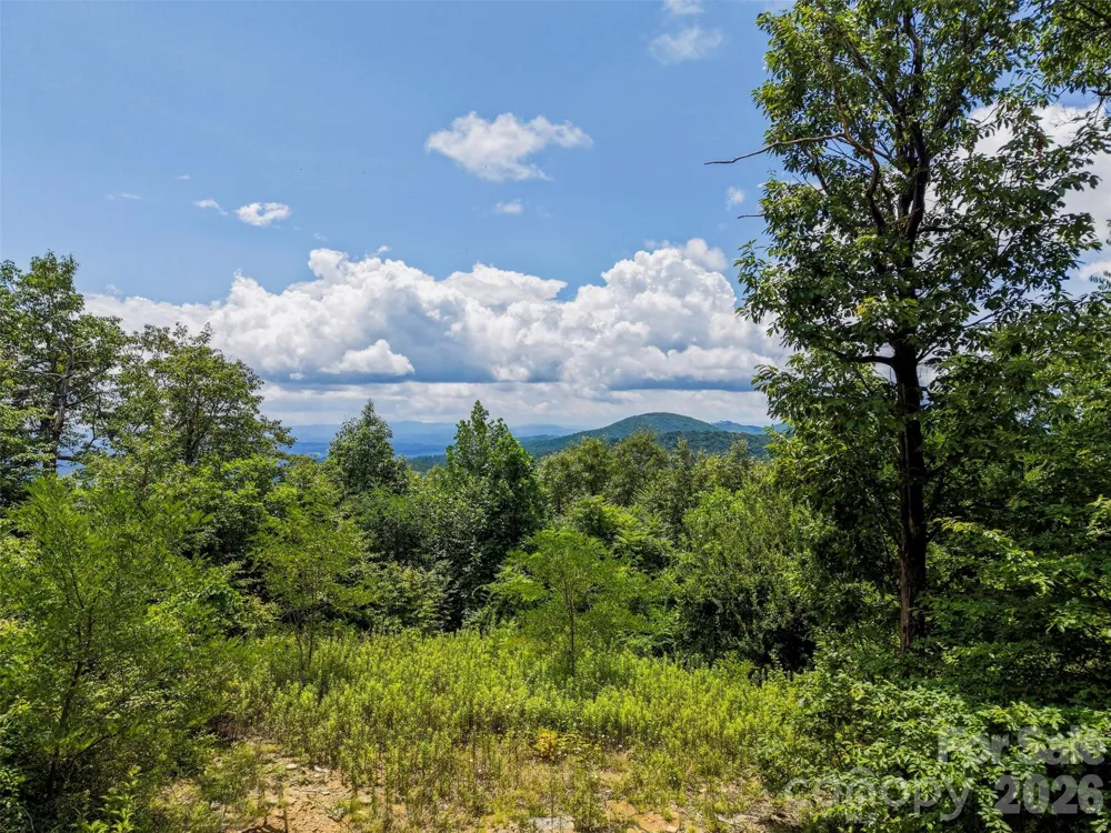 705 Pine Ridge Road #59 Hendersonville, NC 28792