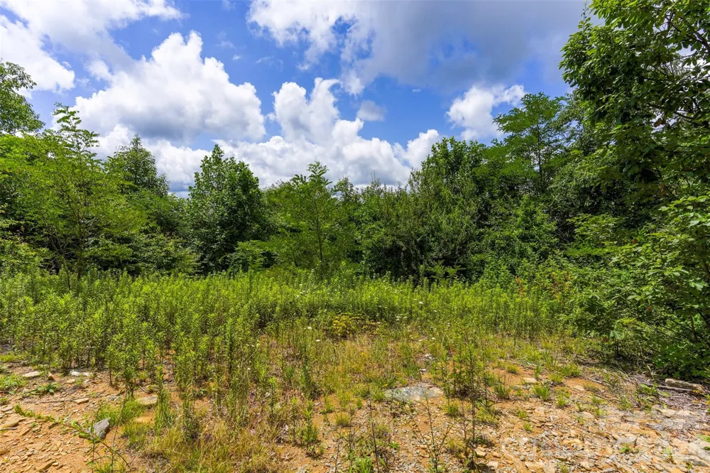 705 Pine Ridge Road #59 Hendersonville, NC 28792