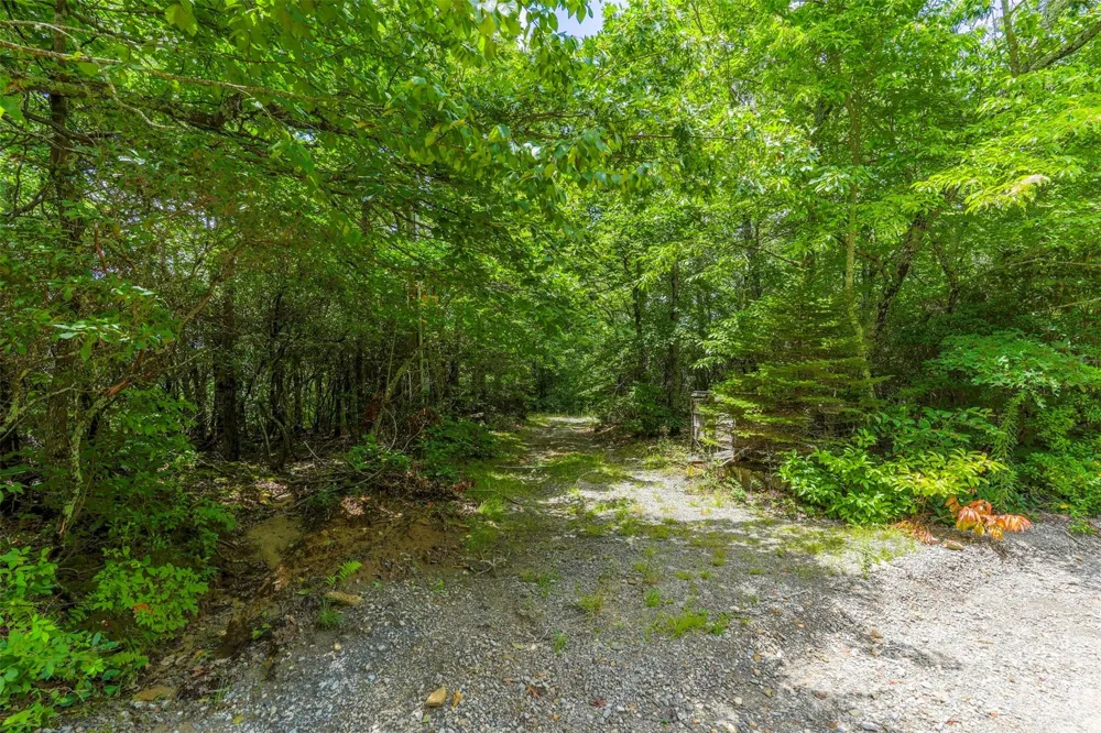 705 Pine Ridge Road #59 Hendersonville, NC 28792