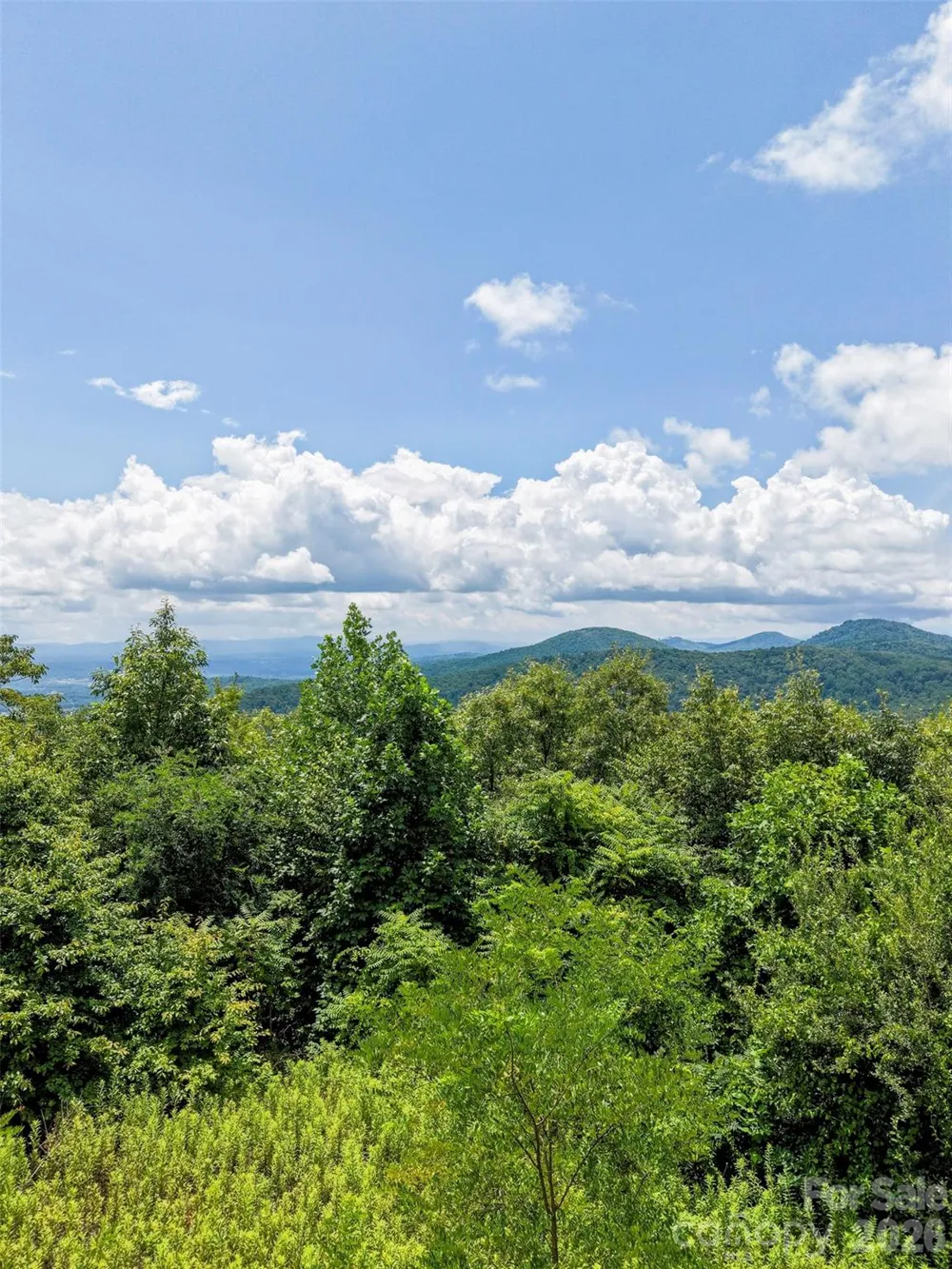 705 Pine Ridge Road #59 Hendersonville, NC 28792