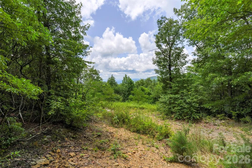 705 Pine Ridge Road #59 Hendersonville, NC 28792