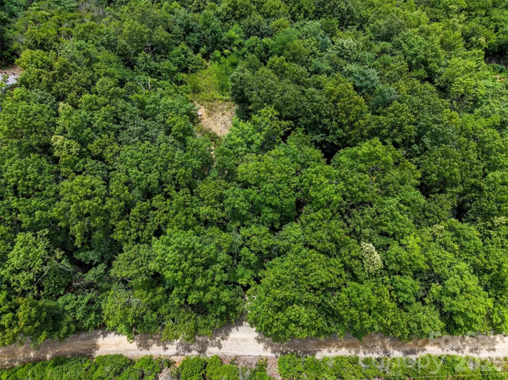 705 Pine Ridge Road #59 Hendersonville, NC 28792