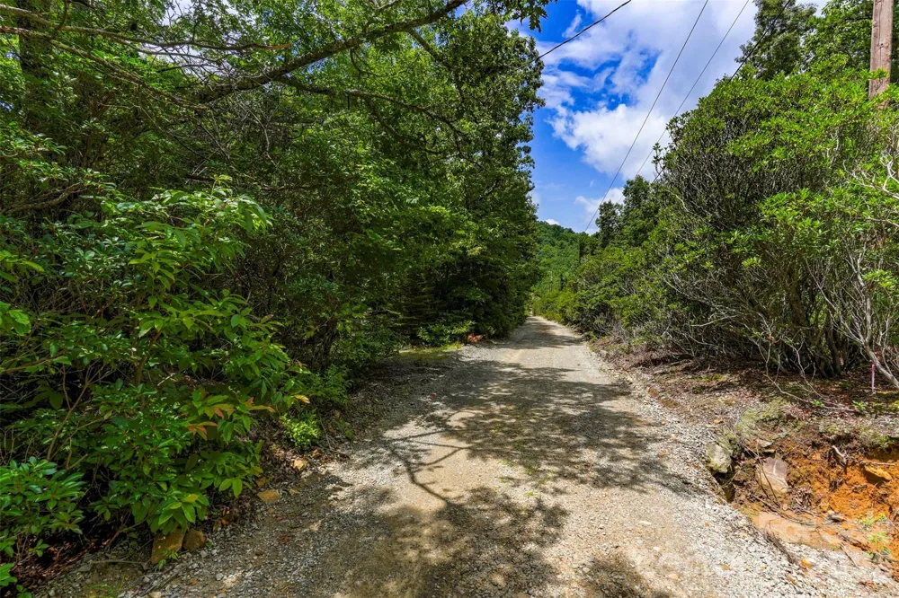 705 Pine Ridge Road #59 Hendersonville, NC 28792