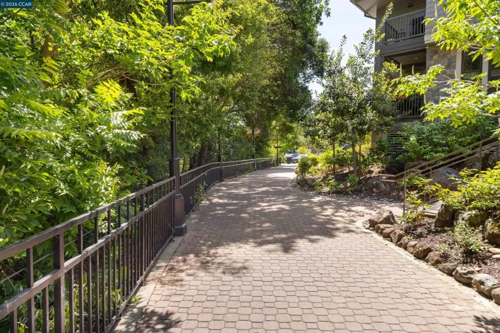 1000 Dewing Ave #115 Lafayette, CA 94549