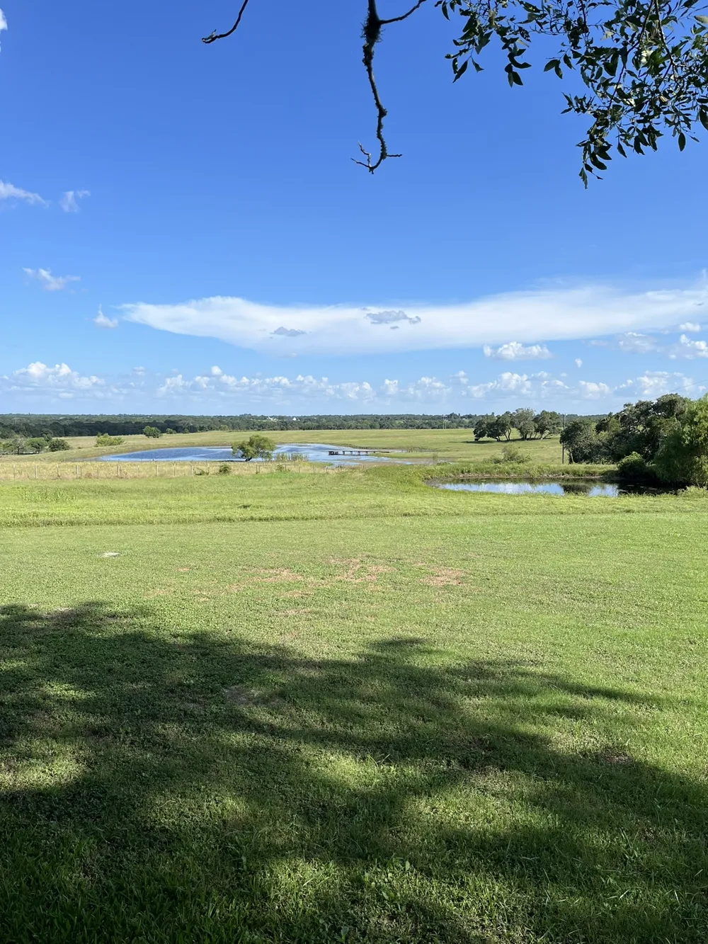 6303 Greenvine Road Brenham, TX 77833