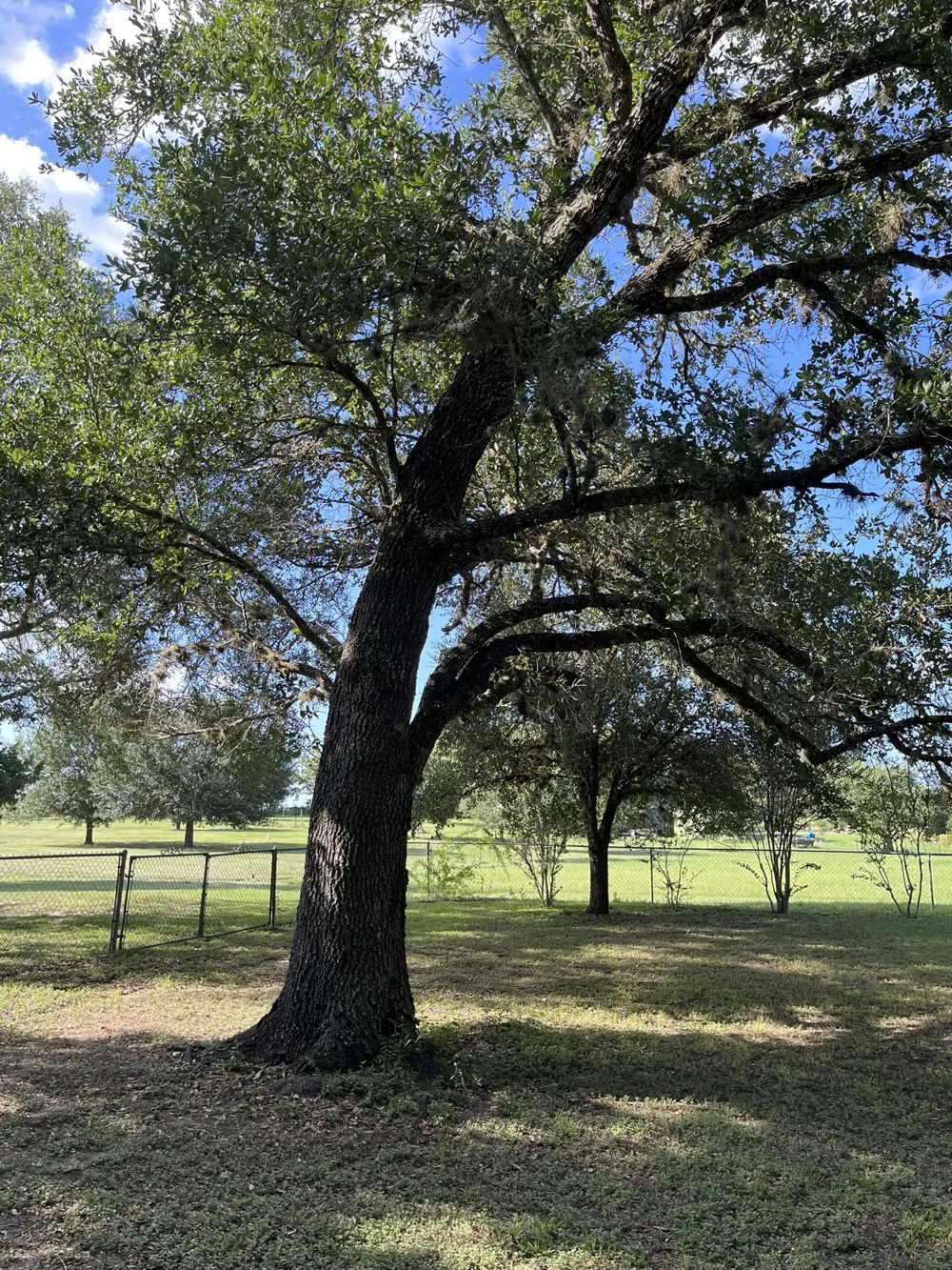 6303 Greenvine Road Brenham, TX 77833
