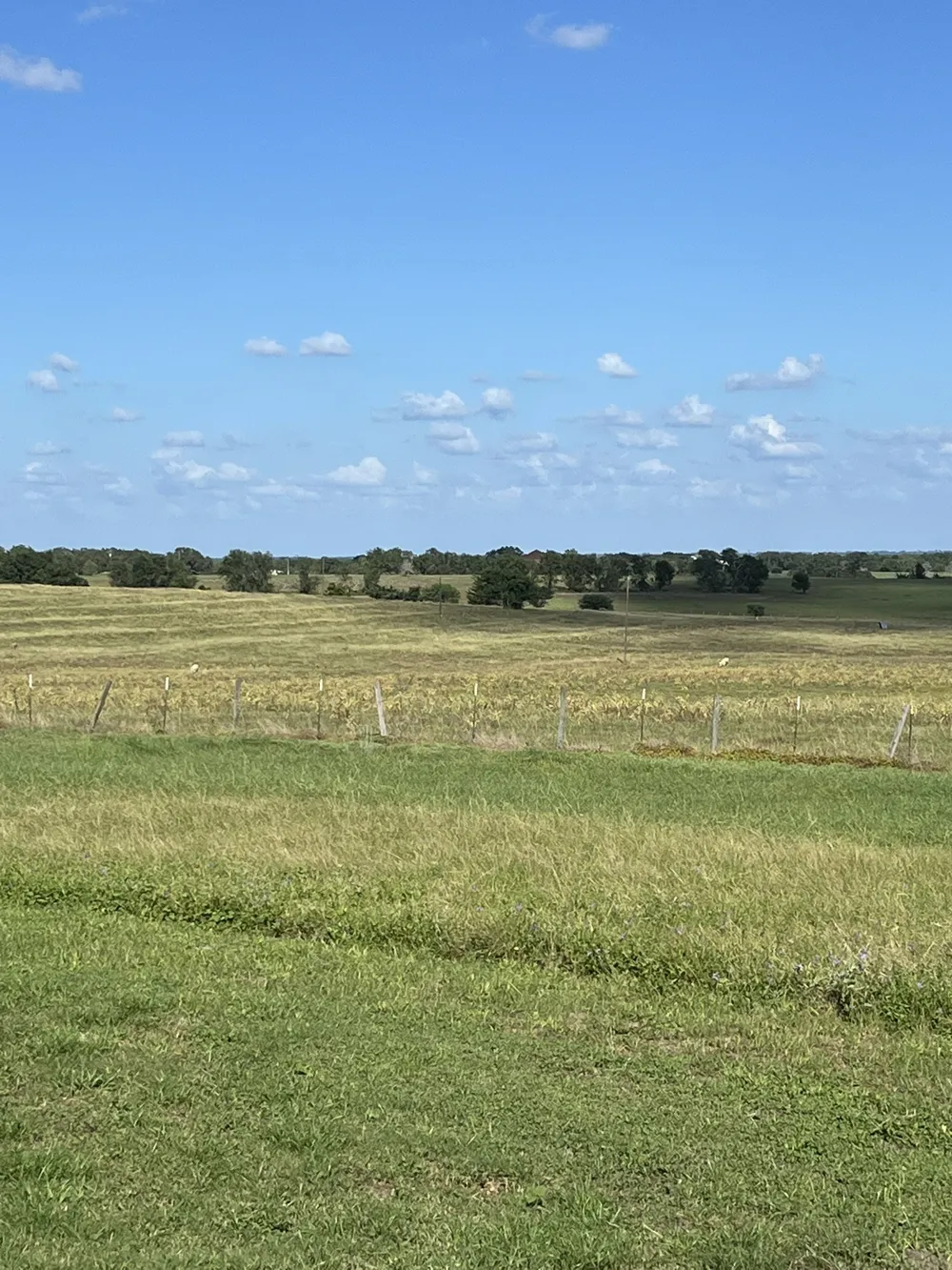 6303 Greenvine Road Brenham, TX 77833