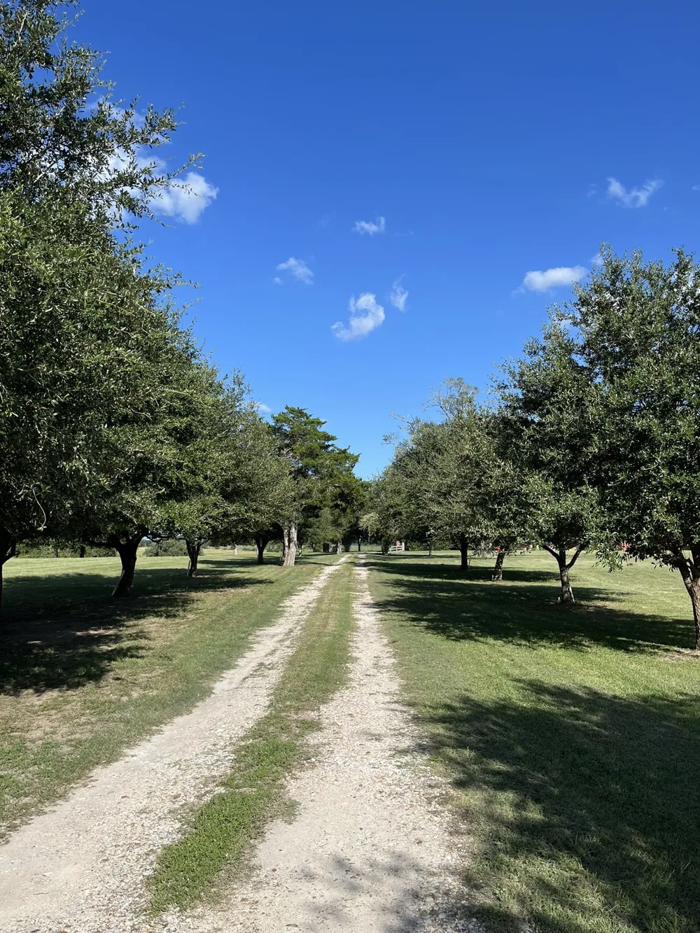 6303 Greenvine Road Brenham, TX 77833
