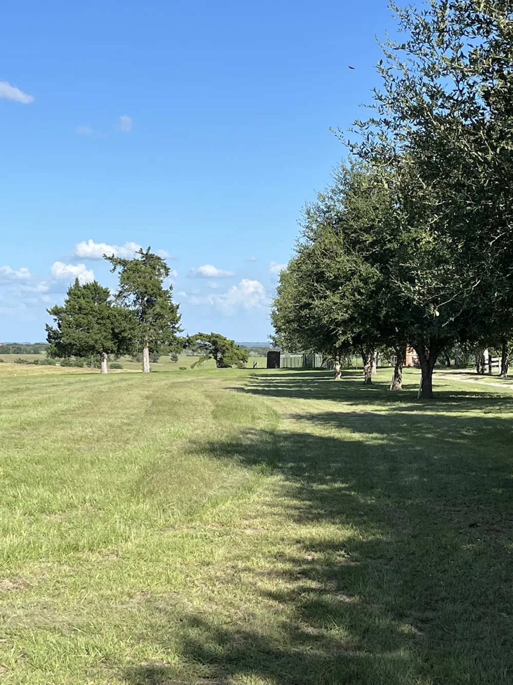 6303 Greenvine Road Brenham, TX 77833