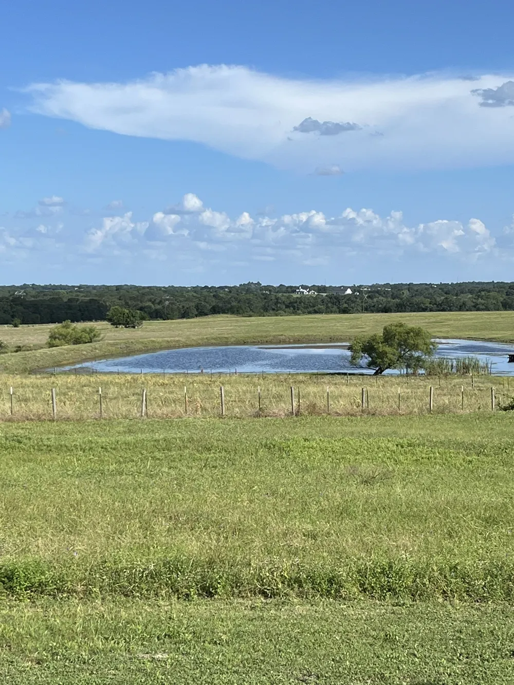 6303 Greenvine Road Brenham, TX 77833