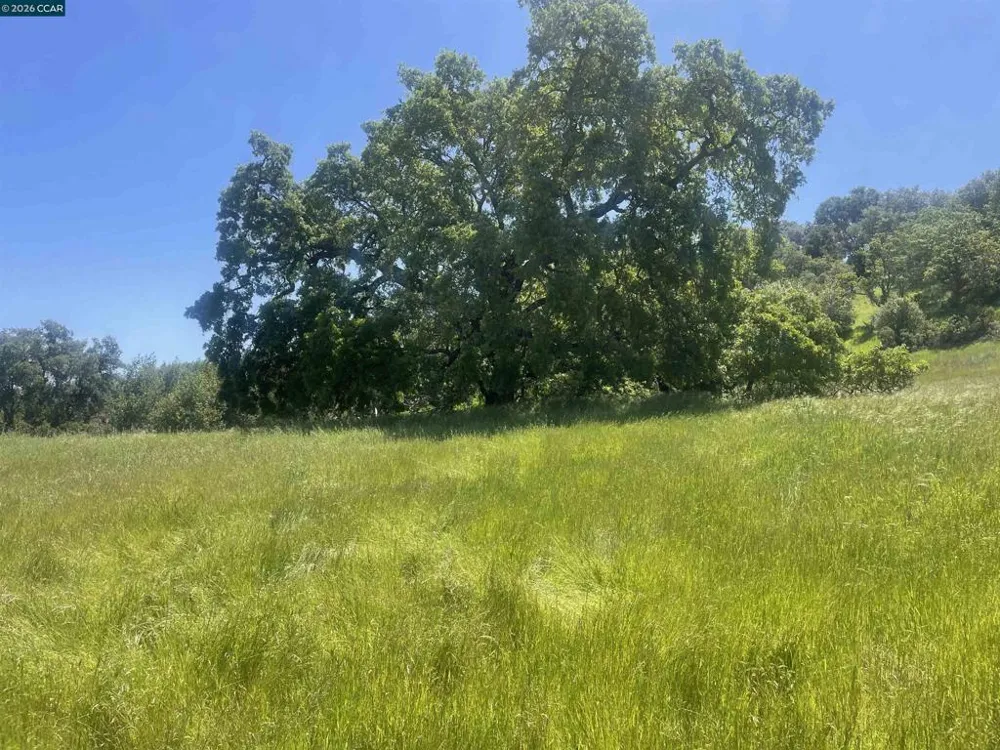 1180 Bear Creek Rd Martinez, CA 94553
