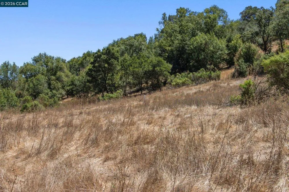 1180 Bear Creek Rd Martinez, CA 94553