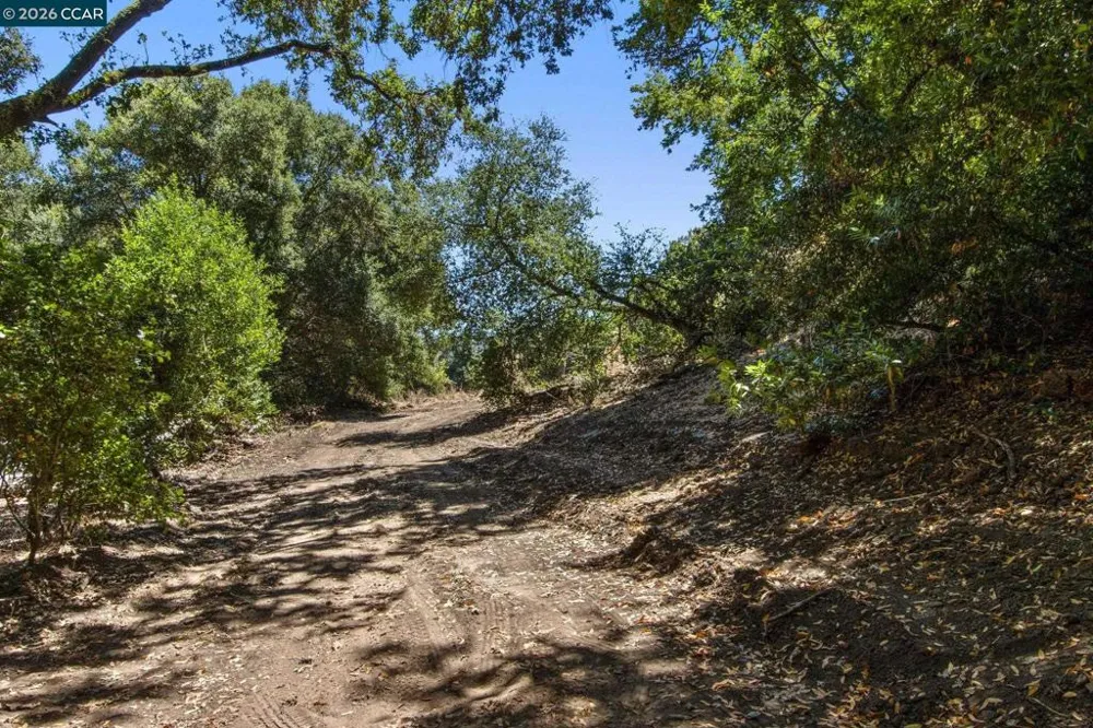 1180 Bear Creek Rd Martinez, CA 94553