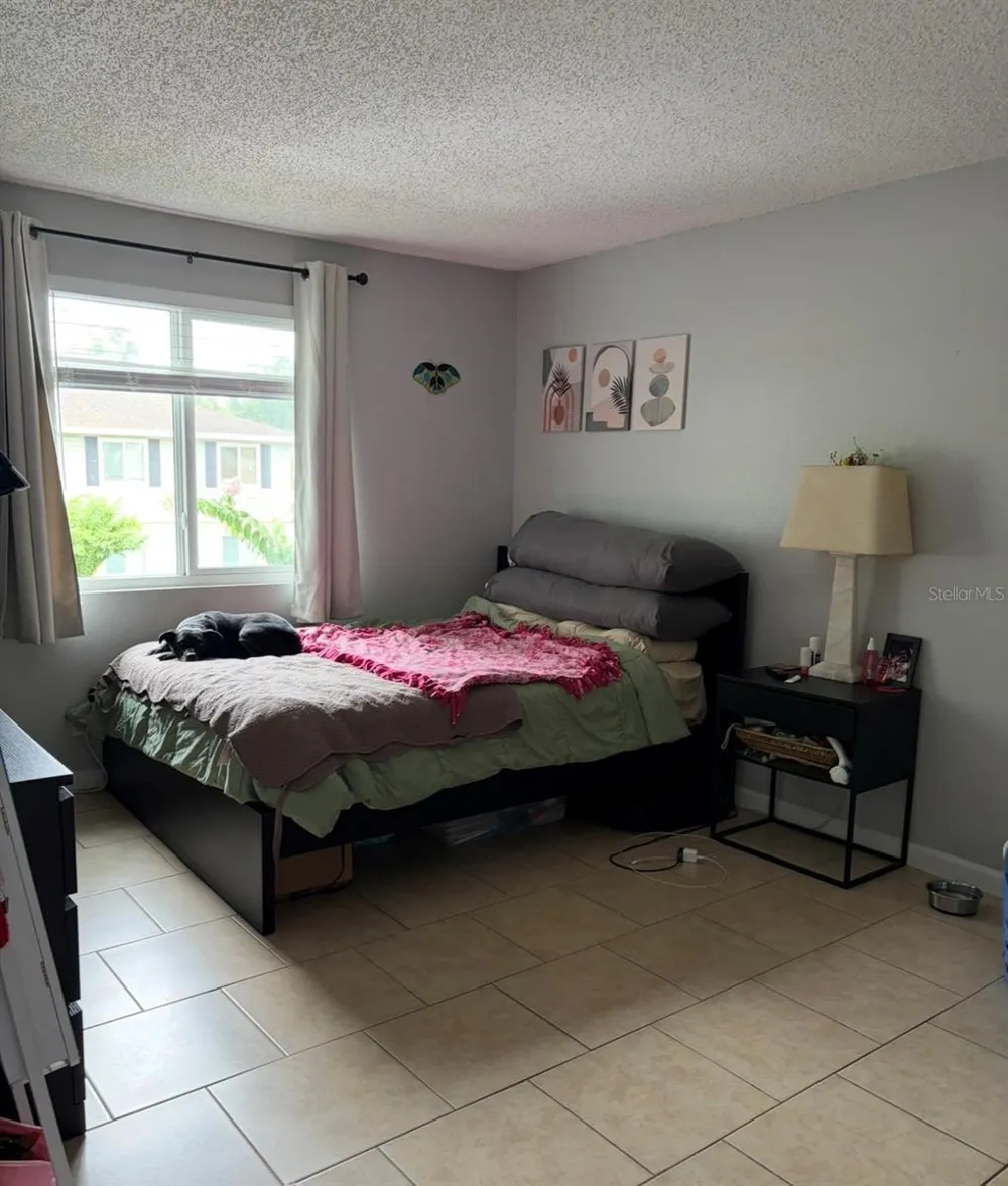 245 RED MAPLE PLACE Brandon, FL 33510