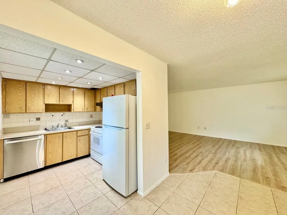 11703 RAINTREE VILLAGE BOULEVARD #C Tampa, FL 33617