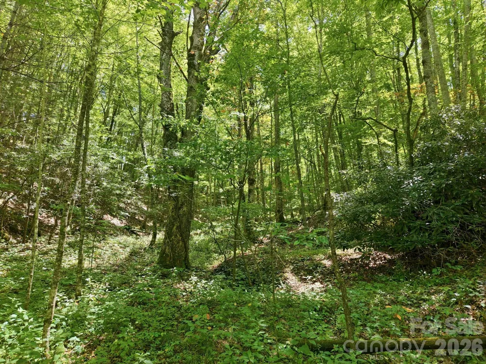 1158 Dark Ridge Road Sylva, NC 28779