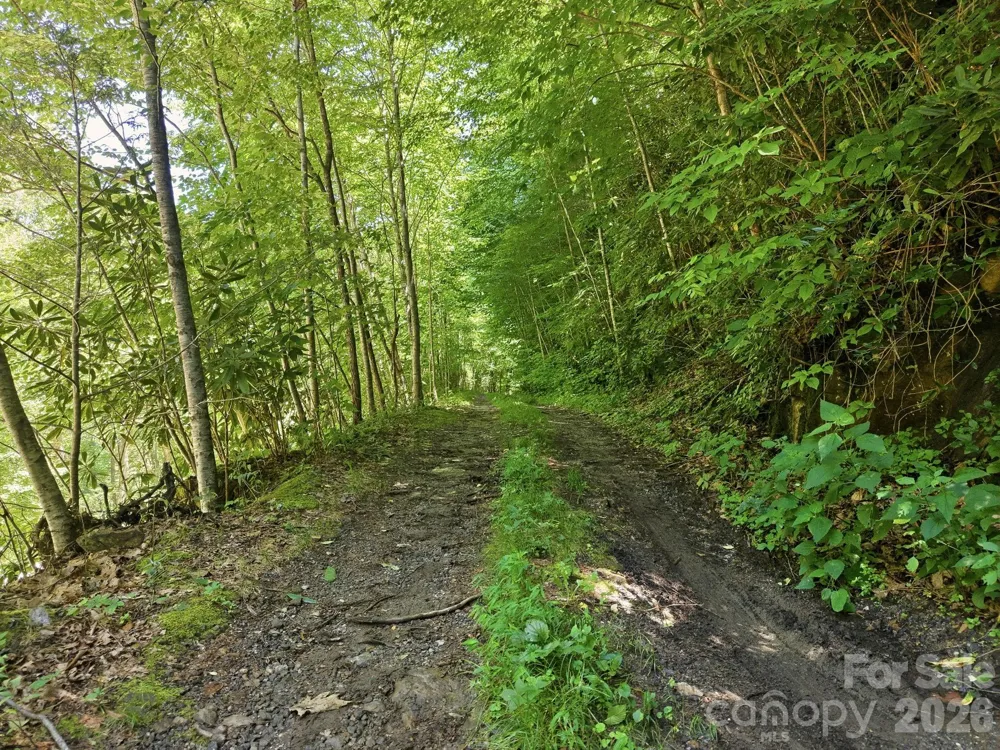 1158 Dark Ridge Road Sylva, NC 28779