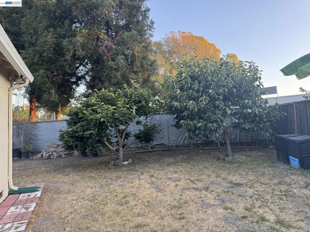 1603 Morgan St Mountain View, CA 94043