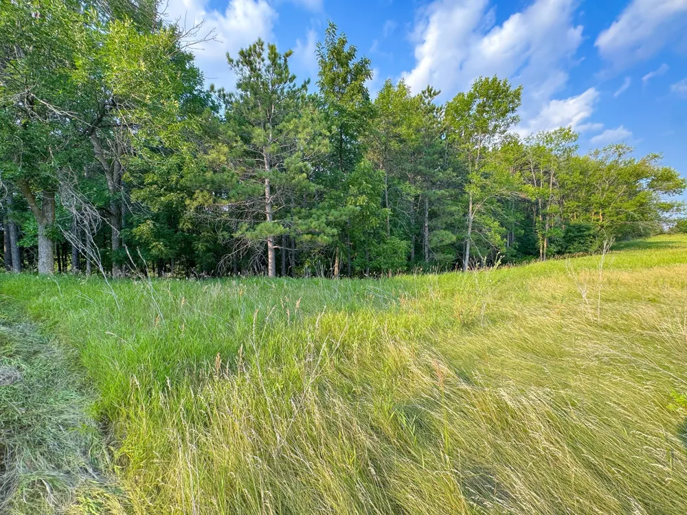 550 Guttenberg Heights Fergus Falls, MN 56537
