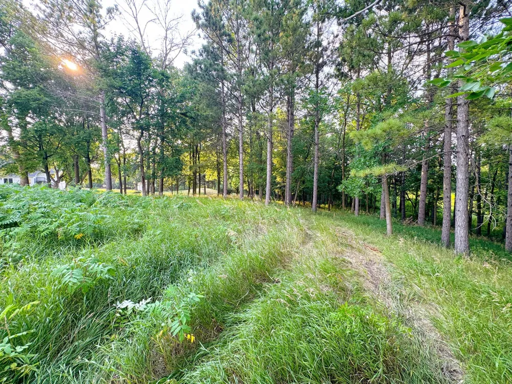 550 Guttenberg Heights Fergus Falls, MN 56537