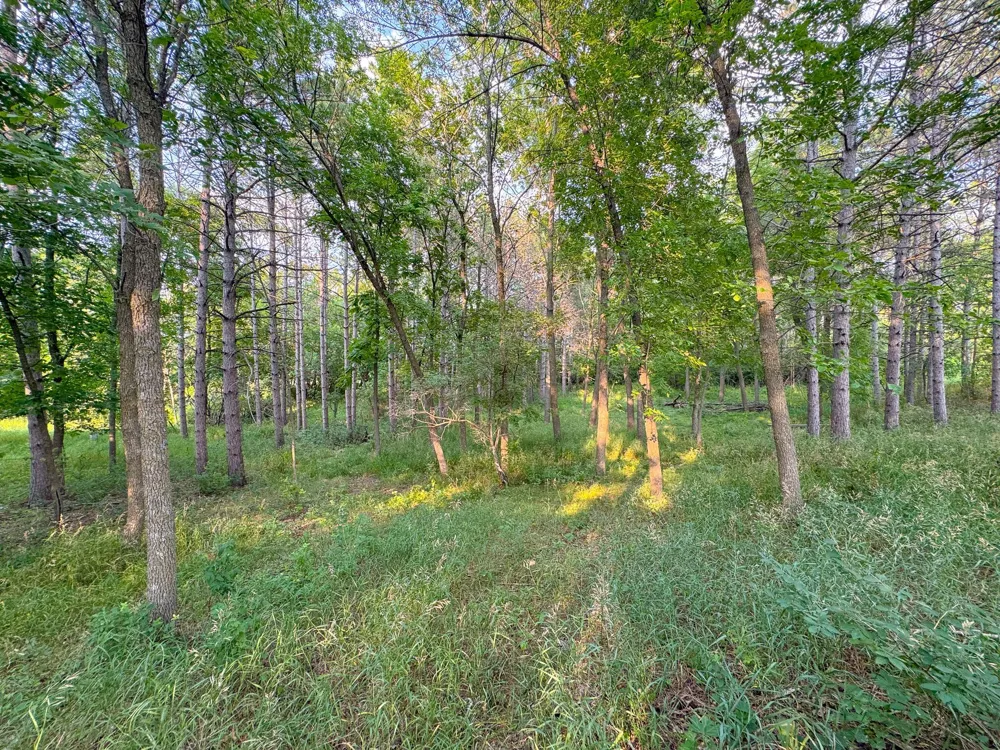 550 Guttenberg Heights Fergus Falls, MN 56537