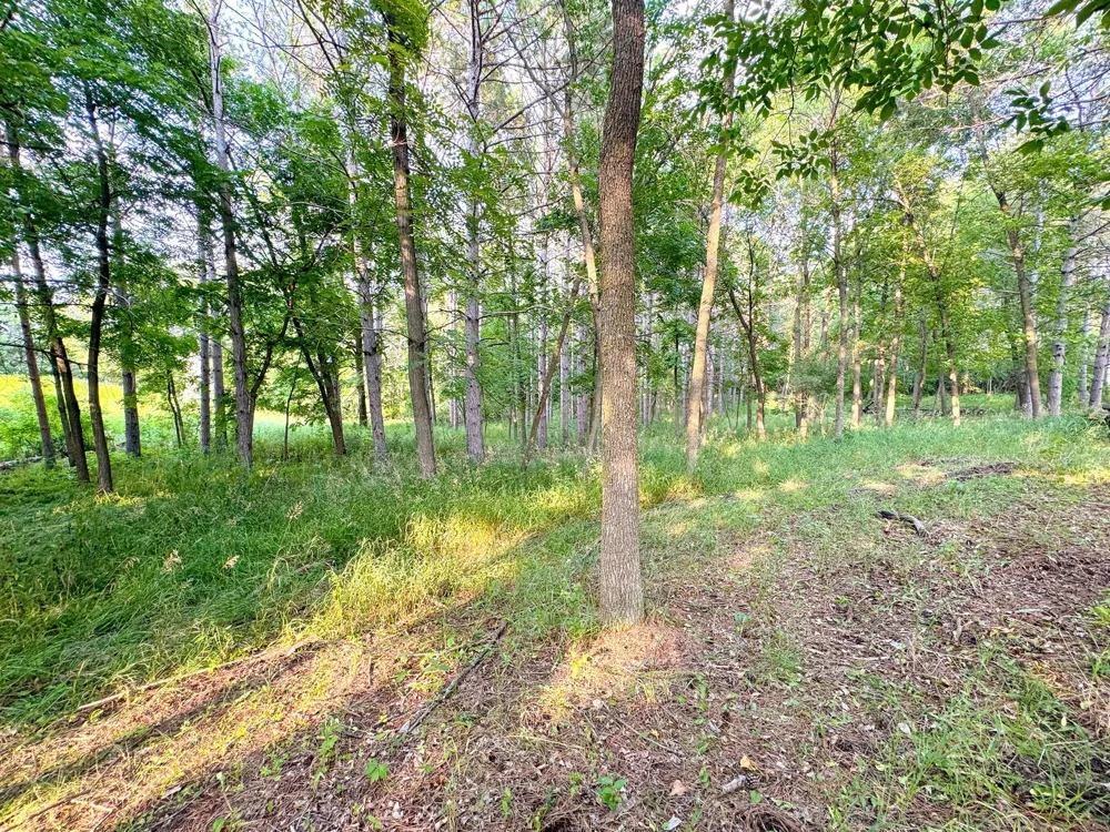 550 Guttenberg Heights Fergus Falls, MN 56537