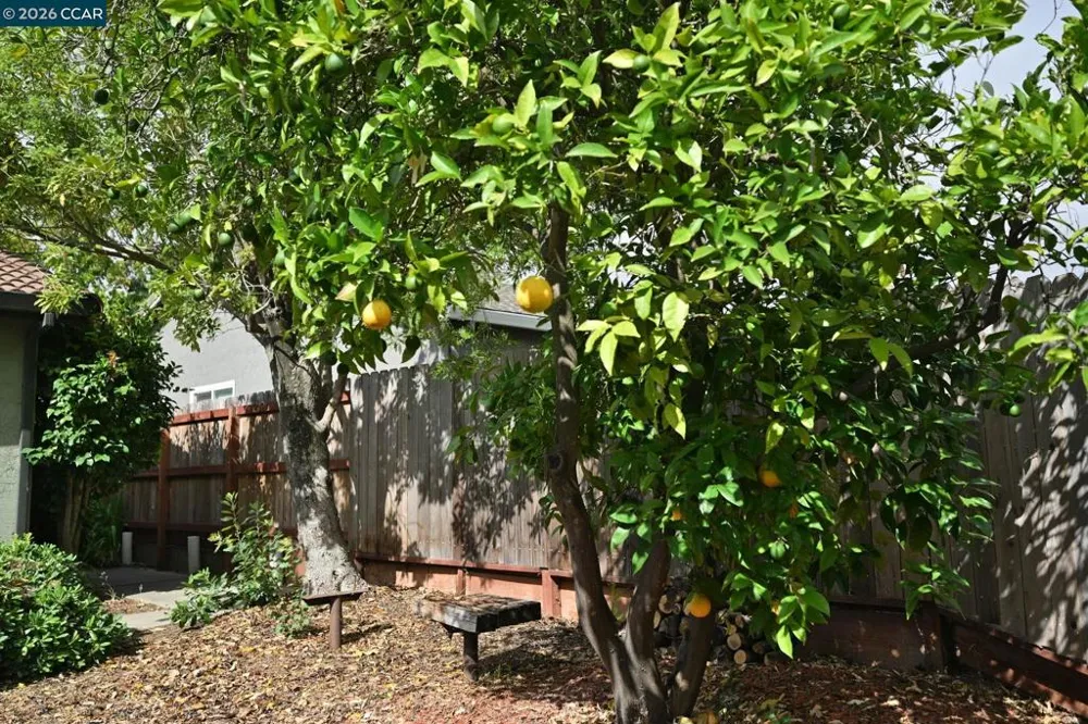 923 Pinon Dr Martinez, CA 94553
