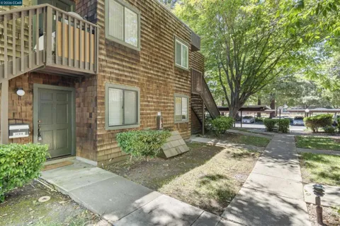 1194 Honey Trail