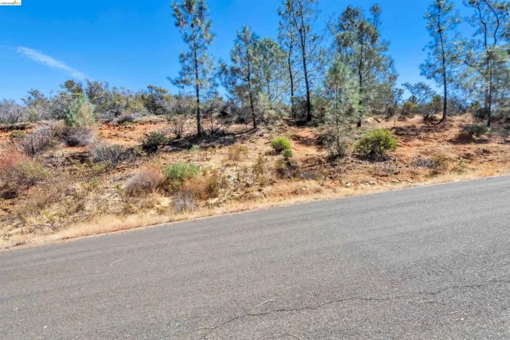 4462 Fremonts Loop Rescue, CA 95672