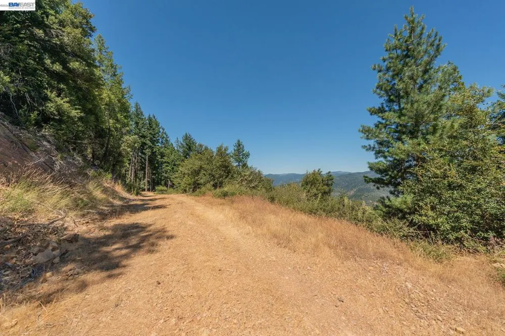 190 Moore Gulch Trinity Center, CA 96091