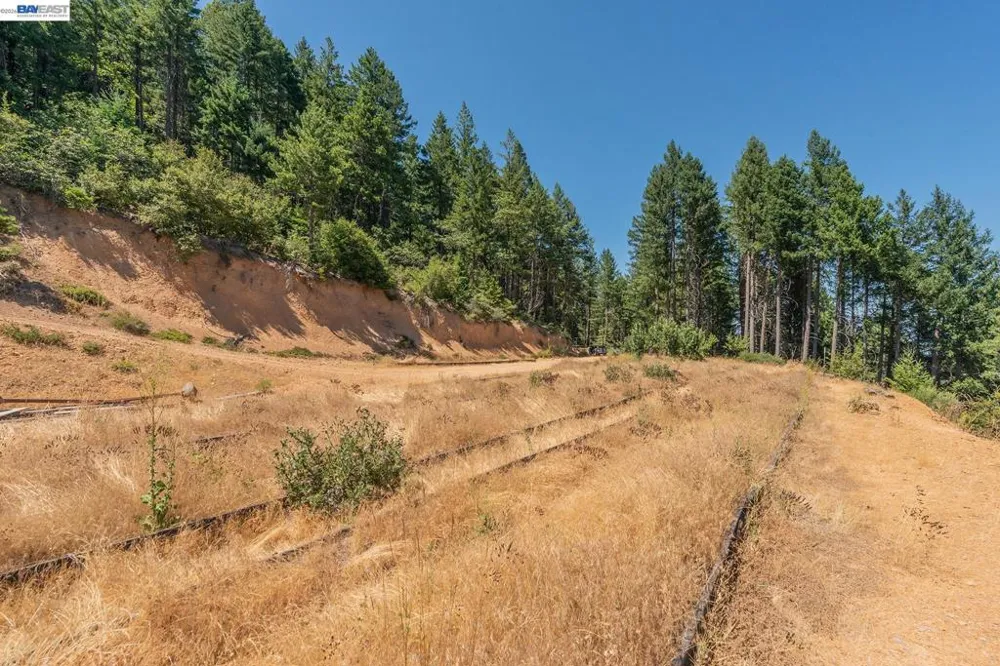 190 Moore Gulch Trinity Center, CA 96091