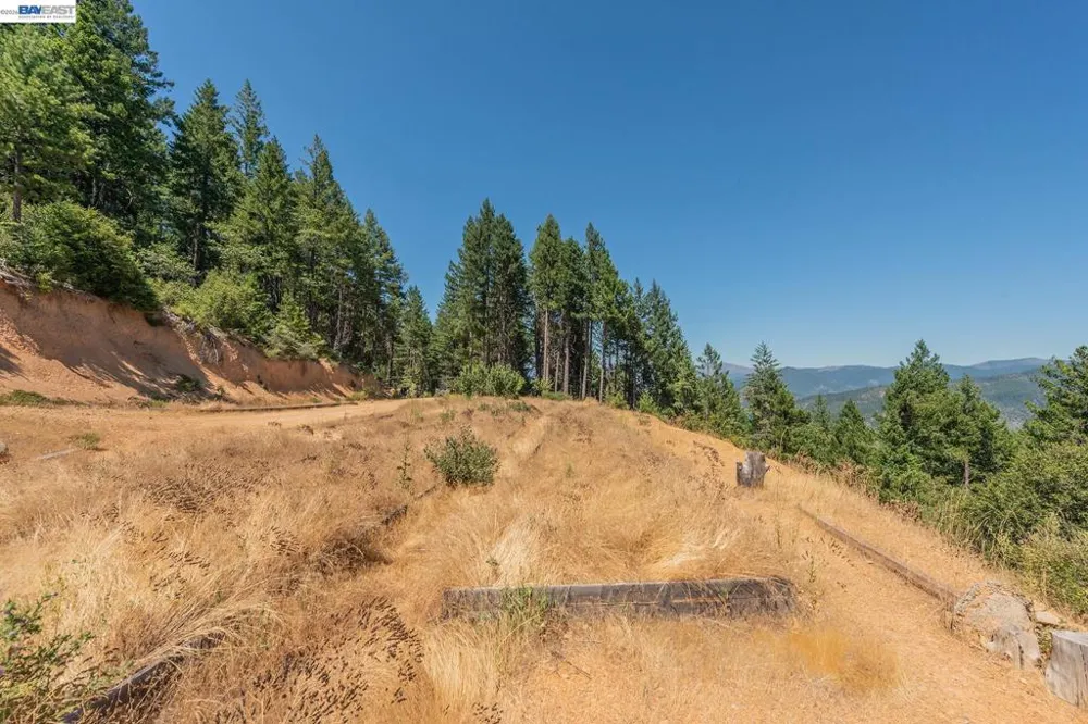 190 Moore Gulch Trinity Center, CA 96091